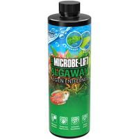 ARKA Algaway Algenentferner