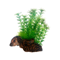 Hobby Aquariumdekoration Flora Root 3