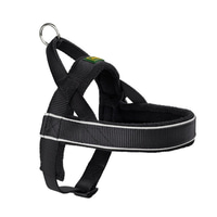 Hunter Norwegergeschirr Racing, schwarz