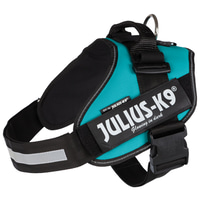Julius-K9 IDC Geschirr petrol