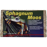 Lucky Reptile Sphagnum Moos 100g