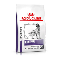ROYAL CANIN® Expert DENTAL MEDIUM &amp; LARGE DOGS  Trockenfutter für Hunde
