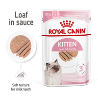 ROYAL CANIN KITTEN Nassfutter in Mousse für Kätzchen