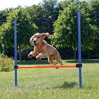 Trixie Dog Activity Agility Hürde