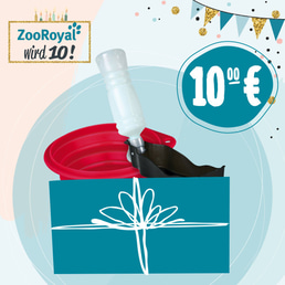 Jubiläums Sparpaket Reisen