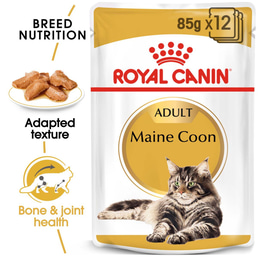 ROYAL CANIN Maine Coon Adult Katzenfutter nass