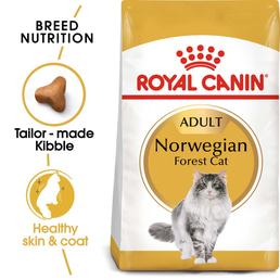 ROYAL CANIN Norwegian Forest Cat Adult Trockenfutter für Norwegische Waldkatzen