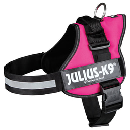 Julius-K9 Powergeschirr fuchsia