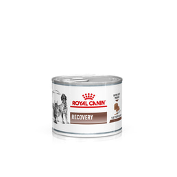 ROYAL CANIN® Veterinary RECOVERY Nassfutter für Katzen und Hunde