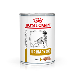 ROYAL CANIN® Veterinary URINARY S/O Mousse Nassfutter für Hunde