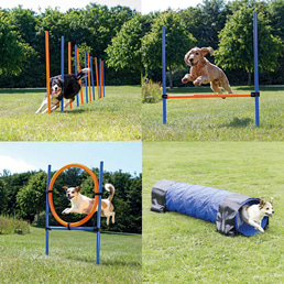 Trixie Dog Activity Agility Set vierteilig