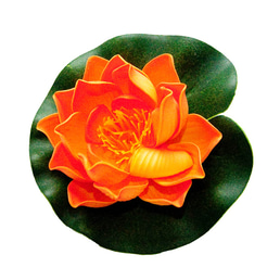 Velda Lotus Foam Orange