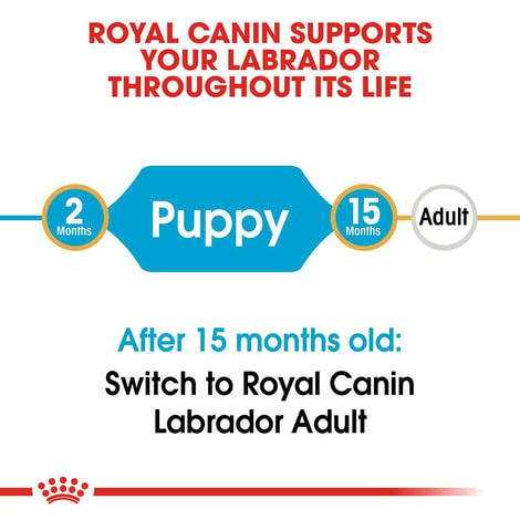 ROYAL CANIN Labrador Retriever Puppy Welpenfutter trocken