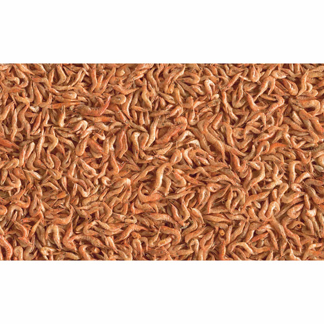 Tetra Wasserschildkrötenfutter ReptoDelica Shrimps 1L