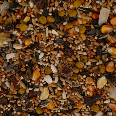Vitakraft African Hauptfutter für afrikanische Papageien