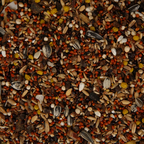 Vitakraft African Hauptfutter für afrikanische Kleinpapageien