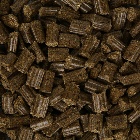 Bunny KaninchenTraum Herbs