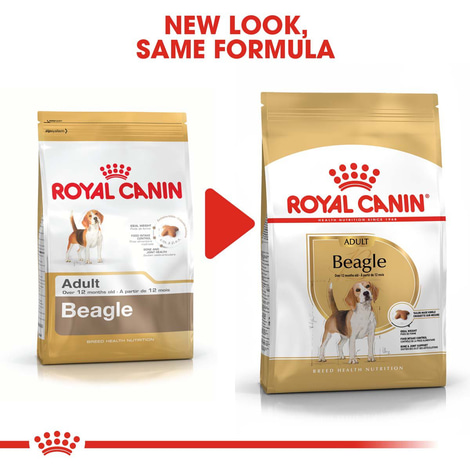 ROYAL CANIN Beagle Adult Hundefutter trocken