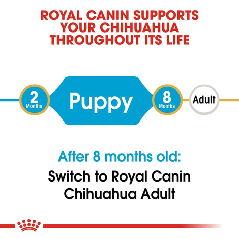 ROYAL CANIN Chihuahua Puppy Welpenfutter trocken