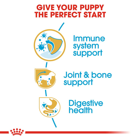 ROYAL CANIN Dachshund Puppy Welpenfutter trocken für Dackel 1,5kg