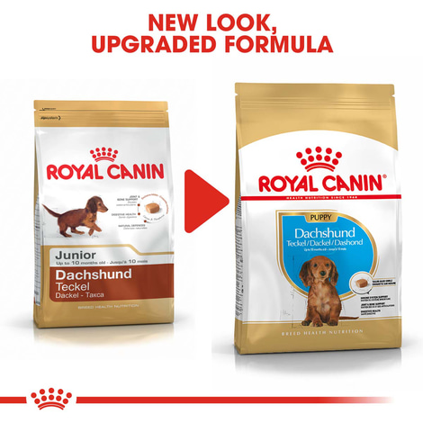 ROYAL CANIN Dachshund Puppy Welpenfutter trocken für Dackel 1,5kg
