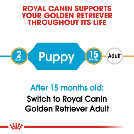ROYAL CANIN Golden Retriever Puppy Welpenfutter trocken