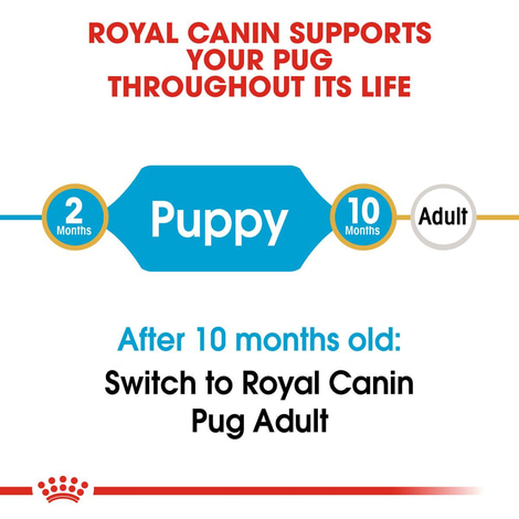 ROYAL CANIN Pug Puppy Welpenfutter trocken für Mops