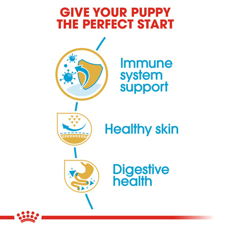 ROYAL CANIN Pug Puppy Welpenfutter trocken für Mops