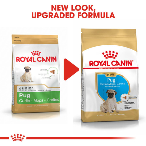ROYAL CANIN Pug Puppy Welpenfutter trocken für Mops
