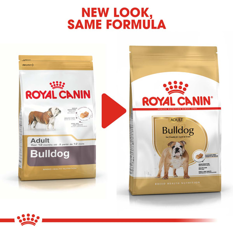 ROYAL CANIN Bulldog Adult Hundefutter trocken