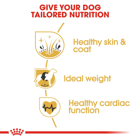 ROYAL CANIN Cocker Adult Hundefutter trocken