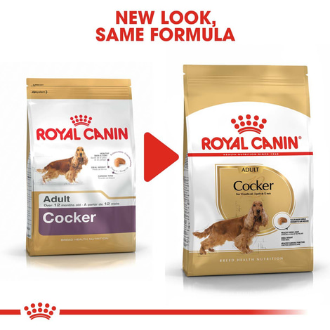 ROYAL CANIN Cocker Adult Hundefutter trocken
