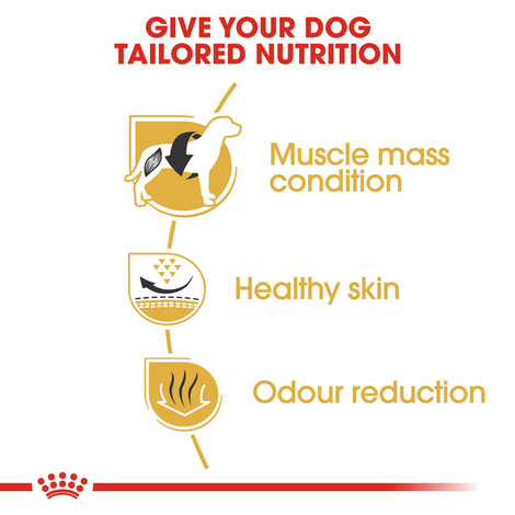 ROYAL CANIN French Bulldog Adult Hundefutter trocken für Französische Bulldoggen