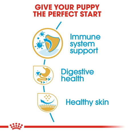 ROYAL CANIN French Bulldog Puppy Welpenfutter trocken für Französische Bulldoggen