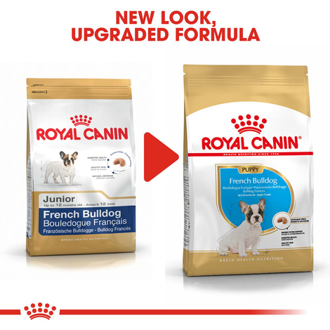ROYAL CANIN French Bulldog Puppy Welpenfutter trocken für Französische Bulldoggen