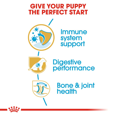 ROYAL CANIN German Shepherd Puppy Welpenfutter trocken für Deutsche Schäferhunde