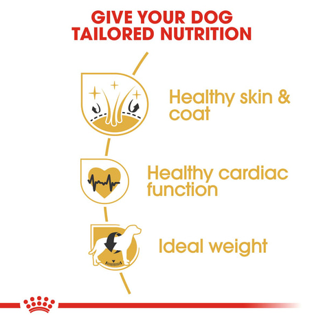 ROYAL CANIN Golden Retriever Adult Hundefutter trocken