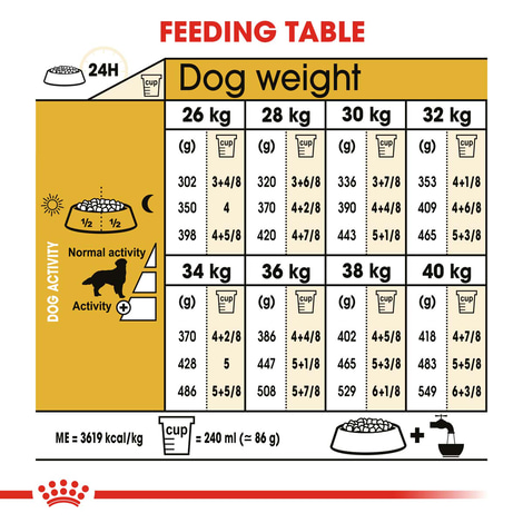 ROYAL CANIN Golden Retriever Adult Hundefutter trocken