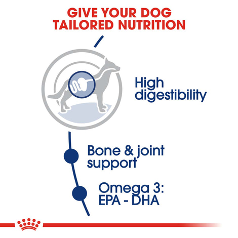 ROYAL CANIN MAXI Adult Trockenfutter für große Hunde