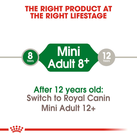 ROYAL CANIN MINI Adult 8+ Trockenfutter für ältere kleine Hunde