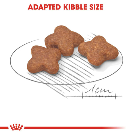 ROYAL CANIN MINI Adult 8+ Trockenfutter für ältere kleine Hunde