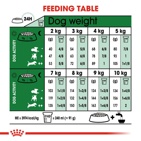 ROYAL CANIN MINI Adult 8+ Trockenfutter für ältere kleine Hunde