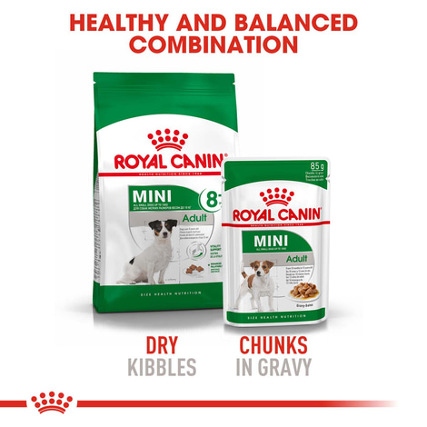 ROYAL CANIN MINI Adult 8+ Trockenfutter für ältere kleine Hunde