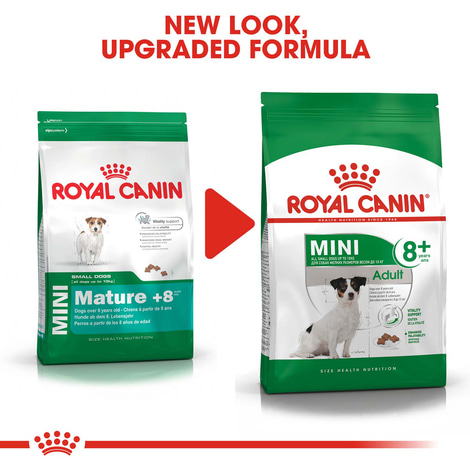ROYAL CANIN MINI Adult 8+ Trockenfutter für ältere kleine Hunde