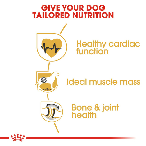 ROYAL CANIN Rottweiler Adult Hundefutter trocken