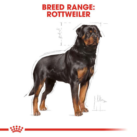 ROYAL CANIN Rottweiler Adult Hundefutter trocken