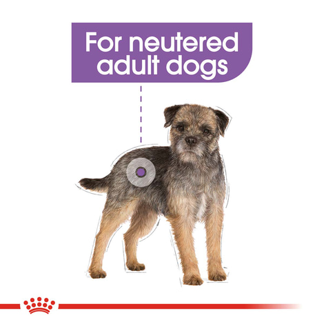 ROYAL CANIN STERILISED MINI Trockenfutter für kastrierte kleine Hunde