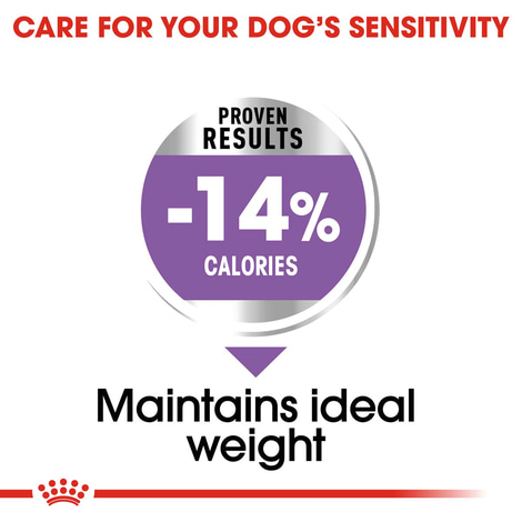 ROYAL CANIN STERILISED MINI Trockenfutter für kastrierte kleine Hunde