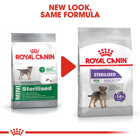 ROYAL CANIN STERILISED MINI Trockenfutter für kastrierte kleine Hunde