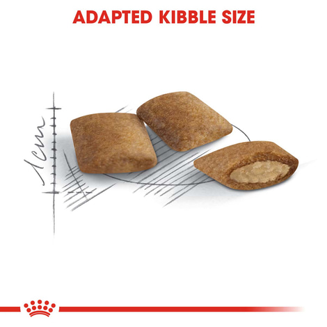 ROYAL CANIN AGEING 12+ Trockenfutter für ältere Katzen